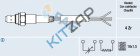 ������ ����������� (������-����) "����� FAE" �������������