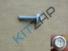 ���� ������������