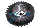 �������� ��� 4 �������� ���������� ����
