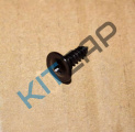 ���� ��������� �������